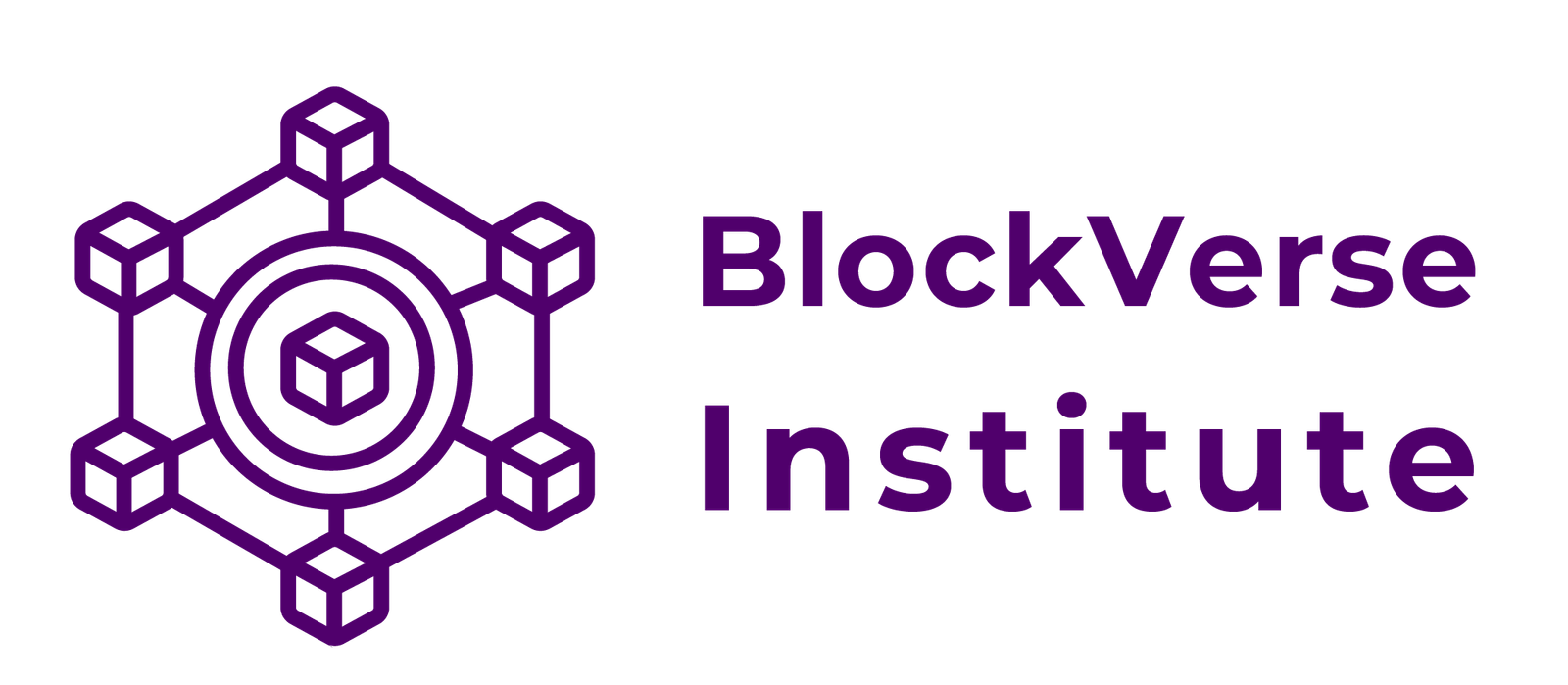 BlockVerse Institute